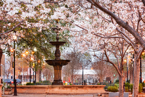 Macon, Georgia, USA downtown square in spring. photo