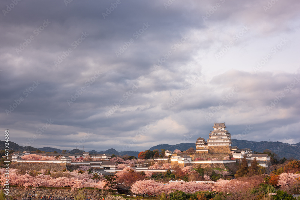 Himeji, Japan at Himeji Castle in Spring Season