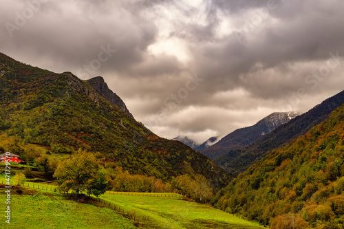 Bosque de Hermo en Asturias - España. photo