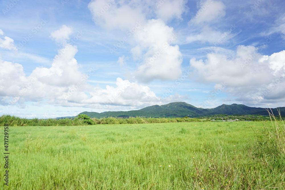 持続可能な開発目標、牧草地と雲