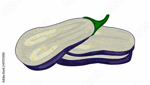 Vector isolated illustration with set of eggplant slices cut lengthwise with pulp and peel. Concept farm, natural products, vegetables, cooking, etc. You can use elements in web design, banners, etc.