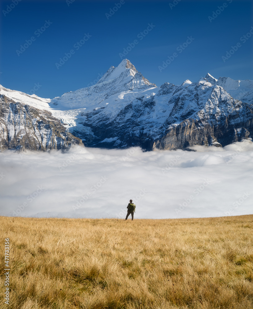 Tourist with a backpack in the mountains. Mountain hiking in the high mountains. Travel and adventure. Active life. Landscape in the summertime. Photo with high resolution.