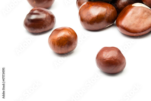 Wallpaper Mural chesnut and isolated white background Torontodigital.ca