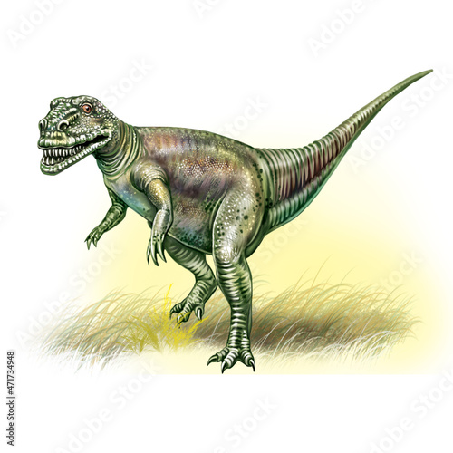 Megalosaurus  dinosaur of the Jurassic period