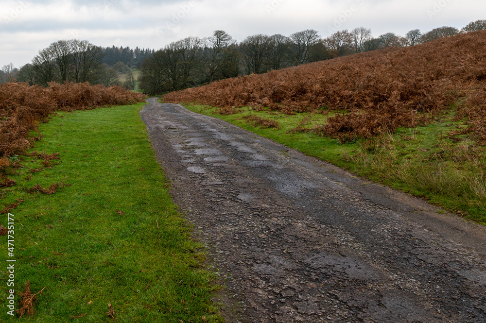Obraz premium Narrow country lane leading over the Brecon Beacons