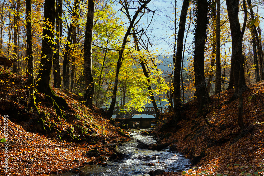Fall season in Sevenlakes national park (Yedigoller milli parki), Bolu, Turkey Fall season in Sevenlakes national park (Yedigoller milli parki), Bolu, Turkey