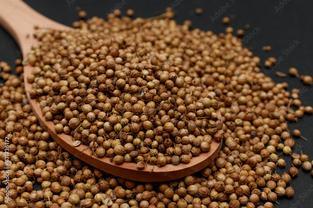 Dry organic coriander seeds in a close-up wooden spoon. The concept of spicy herbs for cooking Dry organic coriander seeds in a close-up wooden spoon. The concept of spicy herbs for cooking