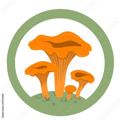 A logo for mushrooms, a carved sign with forest chanterelles on a geometric background, a label for vegetables with text mushrooms for a vegan store, website and packaging.