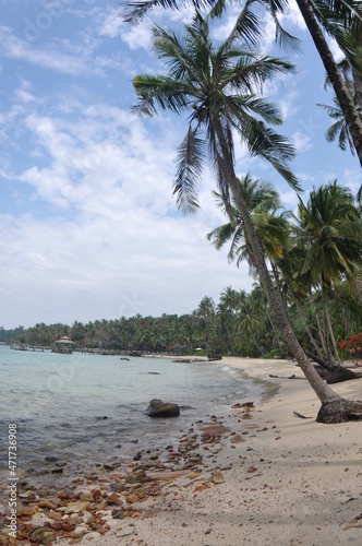 Beach with palm trees. Paradise island