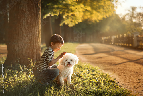 Photographie A boy strokes a bichon frise dog.