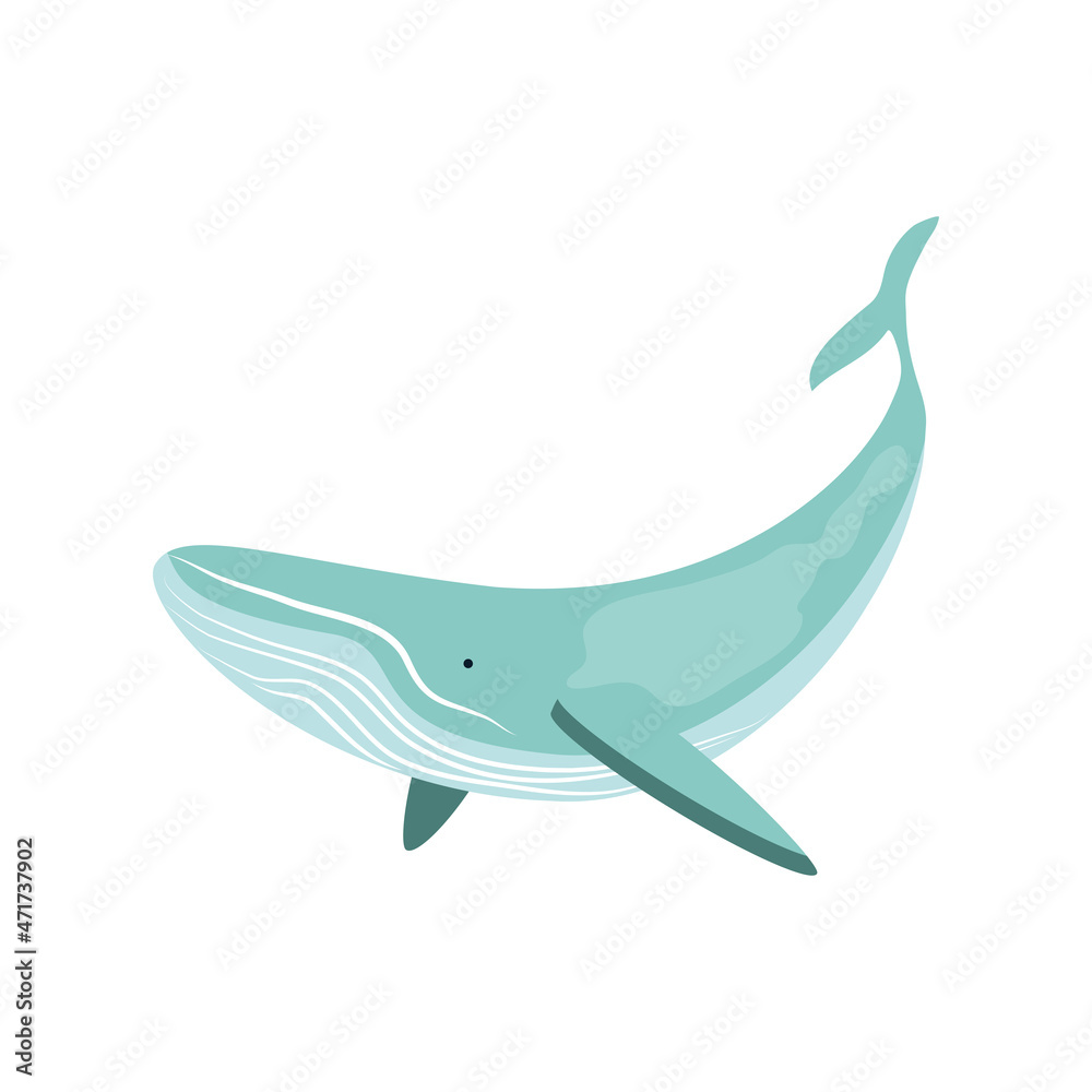 Obraz premium whale undersea life