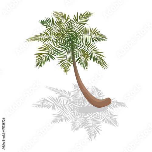 Curvy Palm Isometric Composition