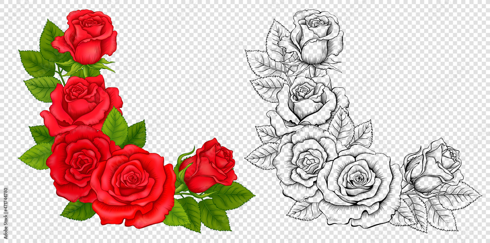 Straight Roses Layout Set of Corner Compositions of Colored Red Roses and Outline Roses ...