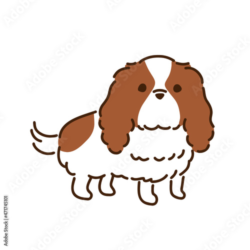 キャバリア　シンプルでかわいい犬のイラスト／Cavalier simple and cute dog illustration