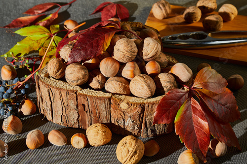 Hazelnuts and walnuts in a shell lying in a wooden box. Autumn yellow-red leaves. Blue berries. A wooden board with a nutcracker in the background.