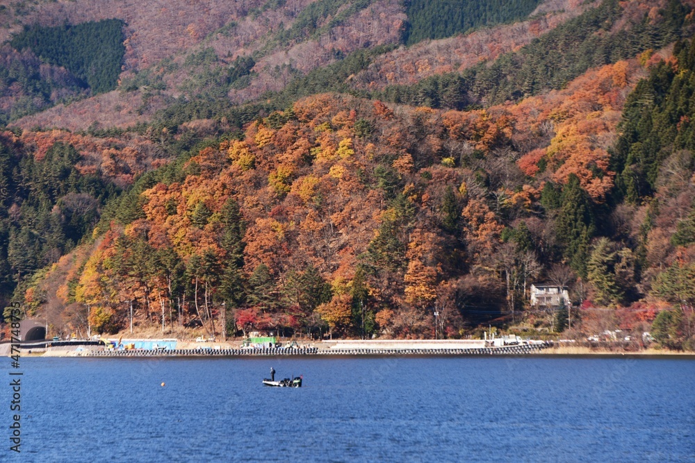 A popular tourist attraction in Japan, the lakeside of'Kawaguchiko-lake' in late autumn.
A lake at the foot of Mt. Fuji, Yamanashi Prefecture, Japan. 