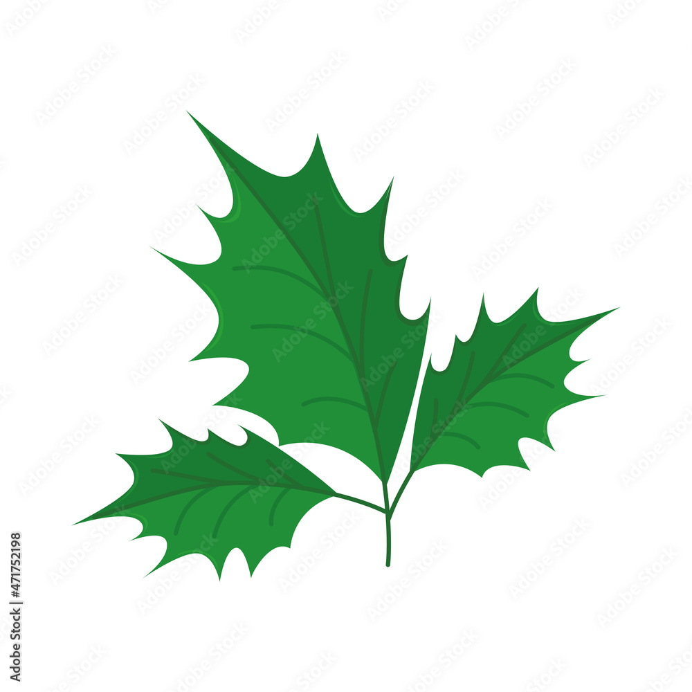 leaves greenery plant leaves greenery plant
