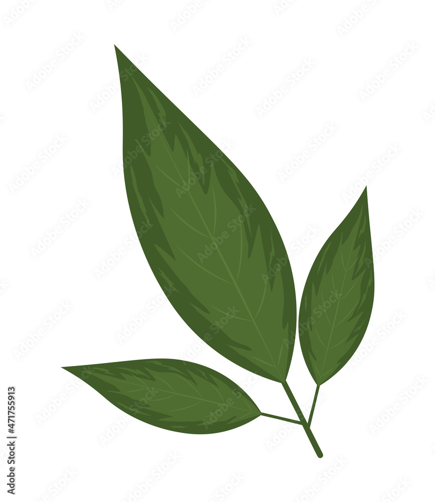 leaves icon flat