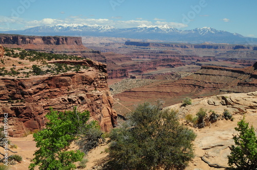 Canyon landscape daytime with trees and red rock background with mountain with snow on it.