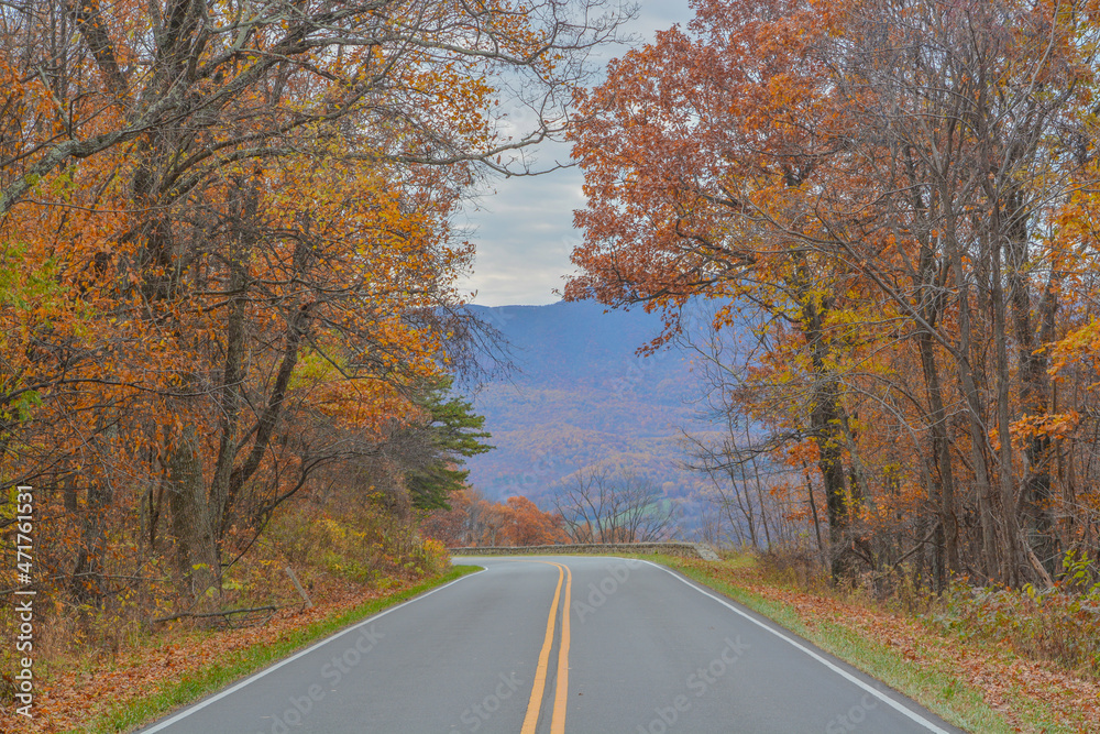 Beautiful, tree lined Skyline Drive in Shenandoah National Park on the Blue Ridge Mountains of Virginia