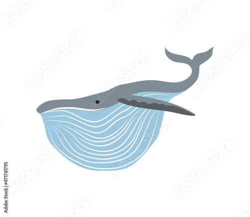 whale aquatic animal