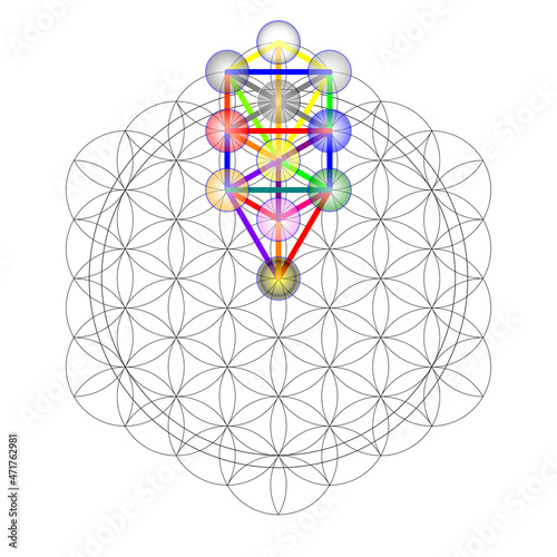 Flower Of Life, Tree of life