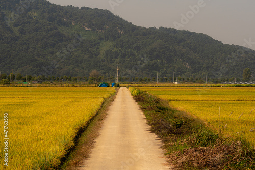 road in the countryside