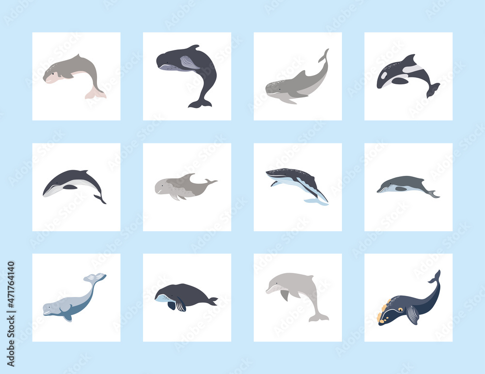 Obraz premium icons whales and dolphin