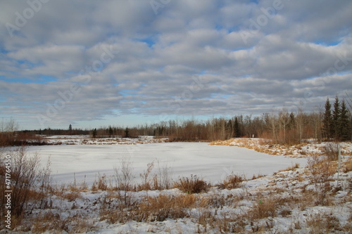 Lake In Winter Time, Pylypow Wetlands, Edmonton, Alberta