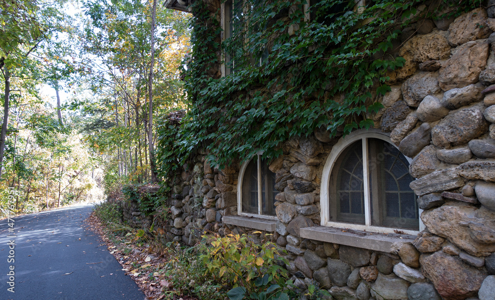 Old building, house covered by green ivy