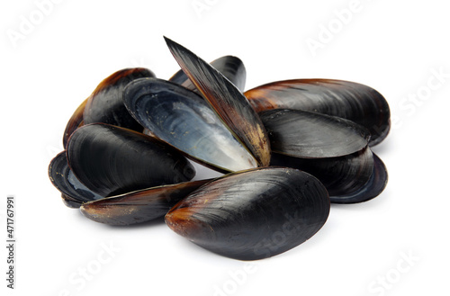 Open empty mussel shells on white background