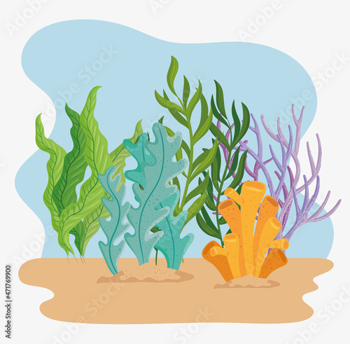 seaweed plants in sand