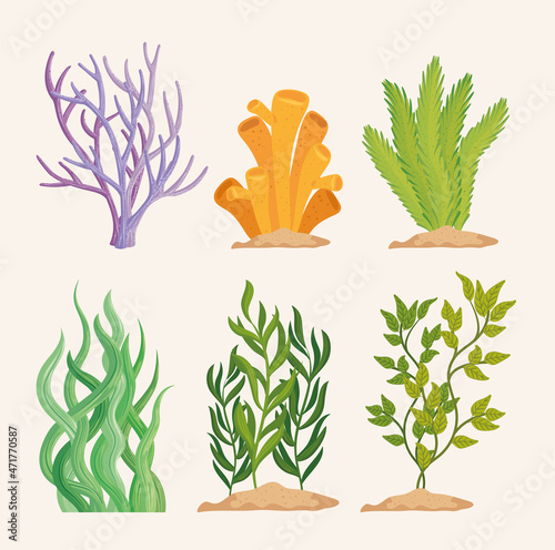 set of algaes plants