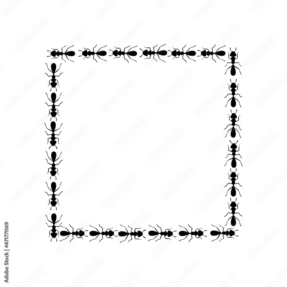 Black ants square border. Ants forming rectangular shape isolated in white background. Vector illustration