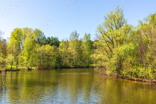 Spring view of the park Serebryany Bor in Moscow. A lake with trees on the shores in spring. Green Russian nature in spring Moscow.