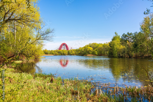 Green Russian nature in spring Moscow. View of the Zhivopisny Bridge from Serebryany Bor. photo