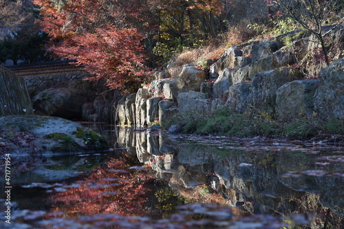 Fall foliages and reflection 