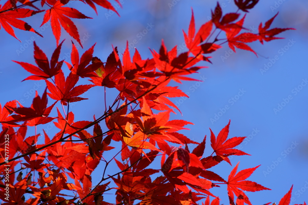 It feels like it's autumn already It feels like it's autumn already