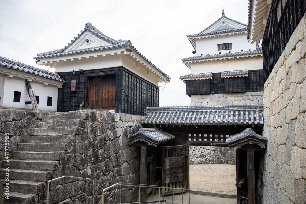 愛媛県の松山城