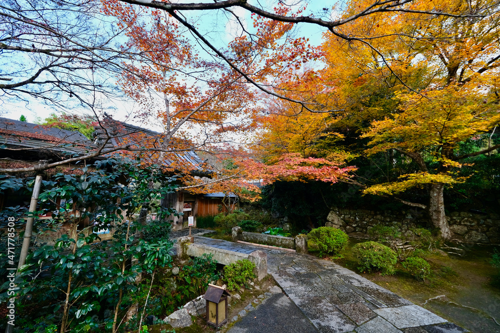 【京都】三千院の紅葉（秋）