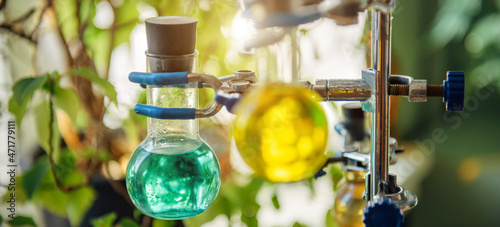 Scientific glass flasks containing green and yellow chemical reagent liquid holding by clamp for students or researchers. Substance study, test in college lab. Close up, blurred background.