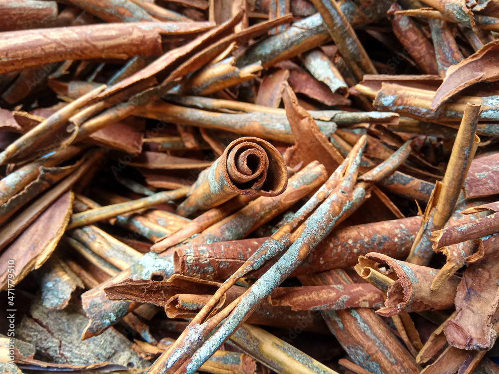 Cinnamomum cassia. Heap of dried and crushed cinnamon sticks, with left-over outer bark, or unfinished shaving. Cinnamomum cassia. Heap of dried and crushed cinnamon sticks, with left-over outer bark, or unfinished shaving.
