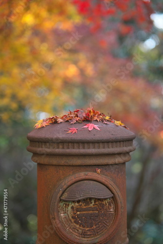 Hyogo,Japan- November 23, 2021: An obsolete rusty mailbox in autumn 