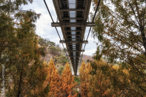 Jangtaesan Recreational Forest Suspension Bridge photo