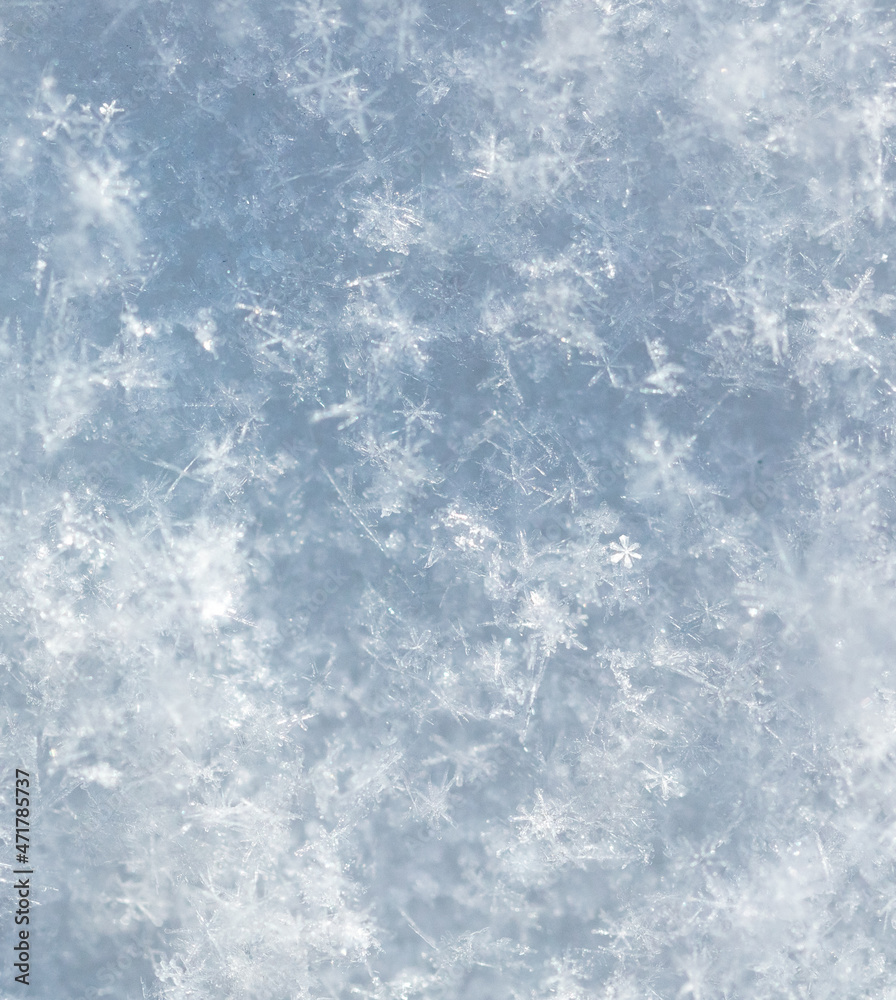 Fototapeta premium Close up of snowflakes as background.