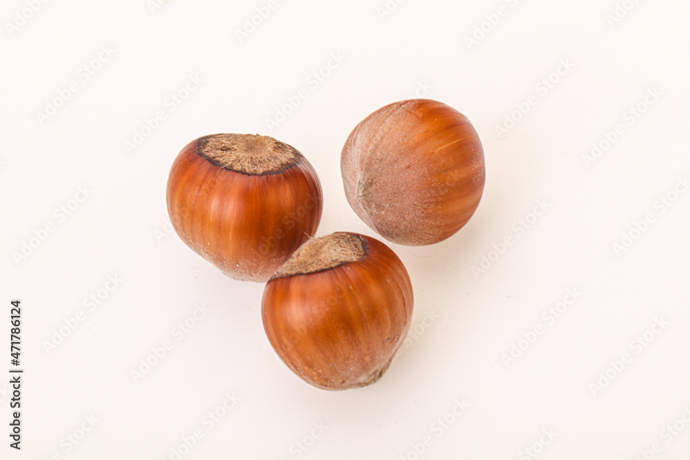Hazelnut heap isolated over background Hazelnut heap isolated over background