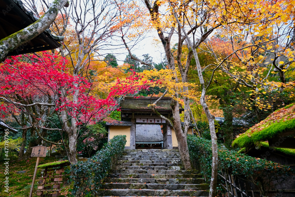 【京都】寂光院の紅葉（秋）