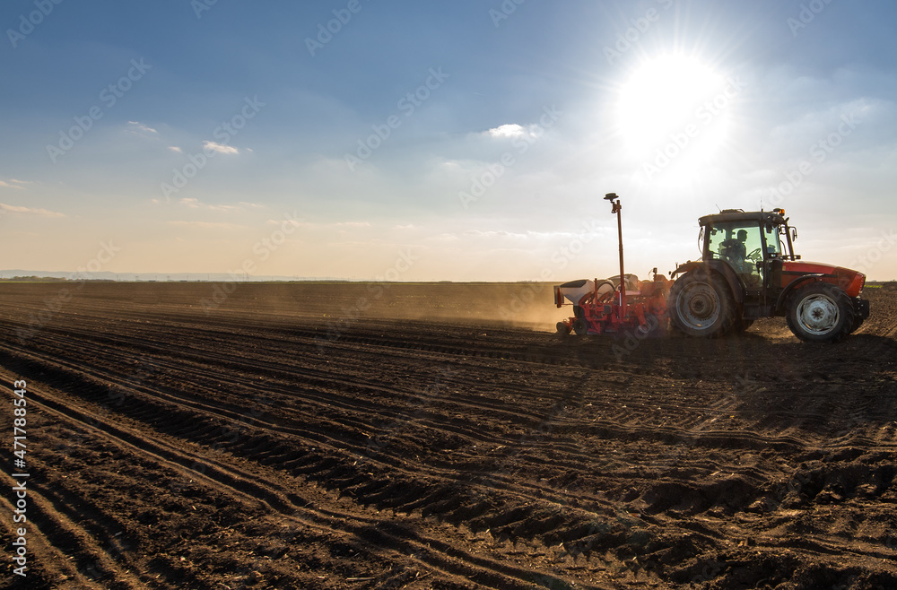 Fototapeta premium Sowing crops at agricultural fields in spring