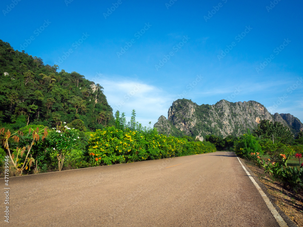 The  empty rural countryside road between the green trees and flowers on the side. The way heading to little stone mountain on blue sky background on a sunny day.