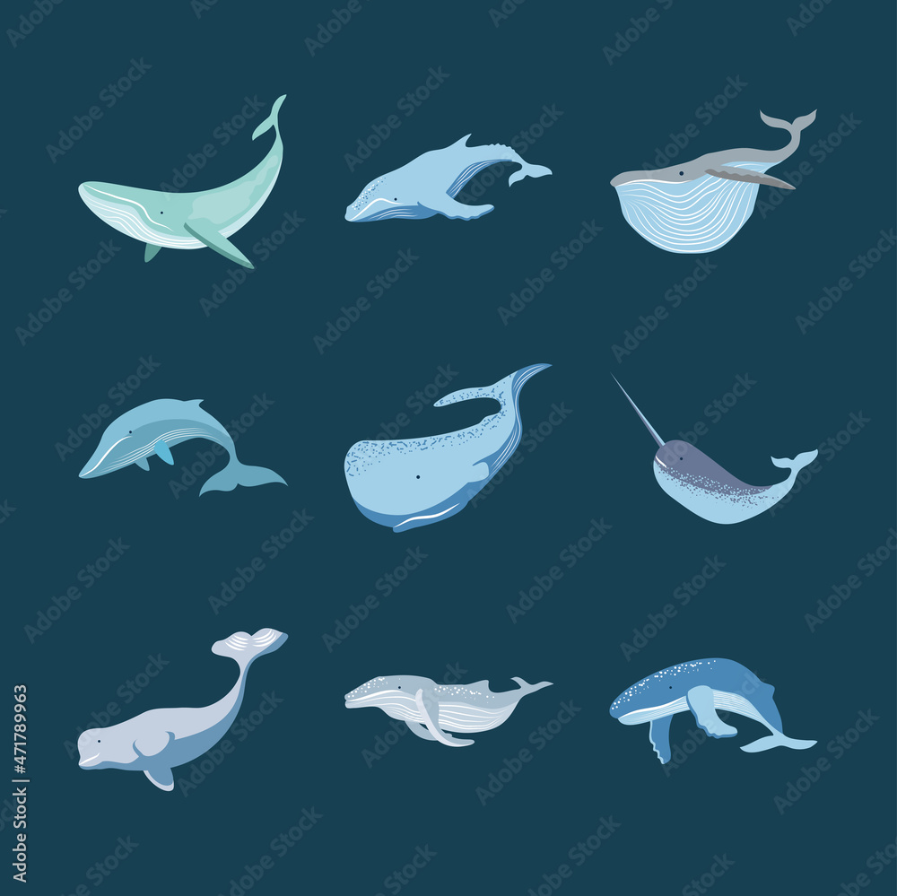 Fototapeta premium set of whales